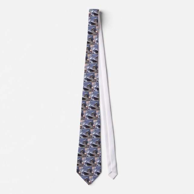 RACOON WASHBÄÄR Photo: Jean-Louis Glineur Neck Tie (Front)