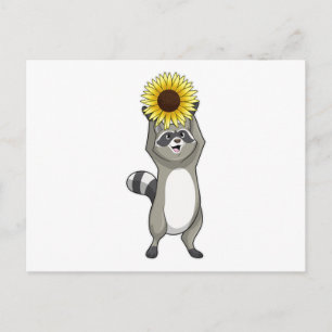 Racoon with Sunflower Postcard