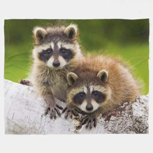 Racoons Fleece Blanket