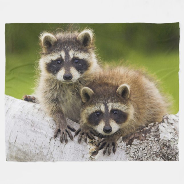 Racoons Fleece Blanket (Front (Horizontal))