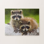 Racoons Jigsaw Puzzle<br><div class="desc">Racoons 
 Photo Puzzle with Gift Box Turn designs,  photos,  and text into a great game with customizable puzzles! Made of sturdy cardboard and mounted on chipboard,  these puzzles are printed in vivid and full color. For hours of puzzle enjoyment,  give a custom puzzle as a gift today!</div>