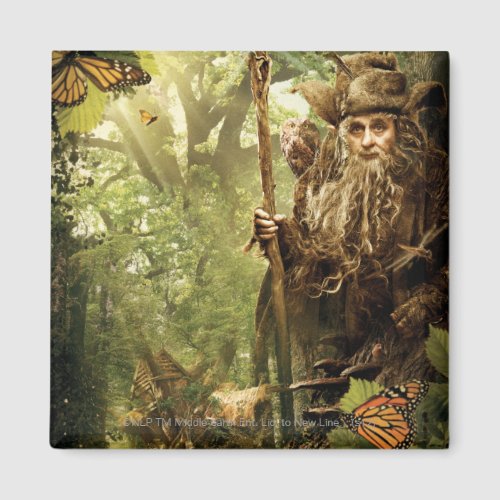 RADAGAST in Forest Magnet