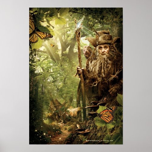 RADAGAST in Forest Poster