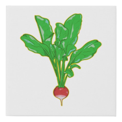 Raddish vegetable illusatration faux canvas print