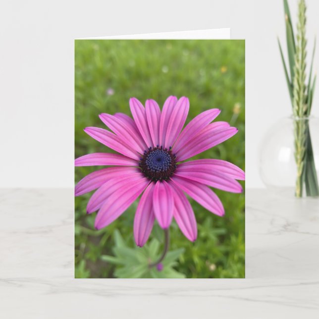 Radiant Flower Mothers Day Card (Front)