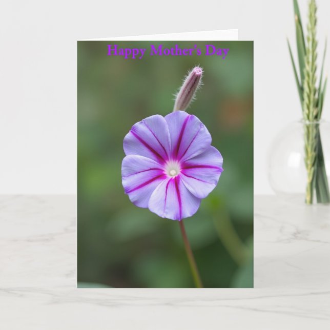 Radiant Magenta Mothers Day Card (Front)