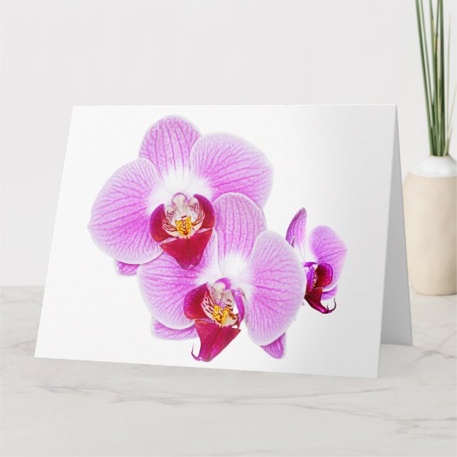 Radiant Orchid Close-up Floral Photography Card (Front)