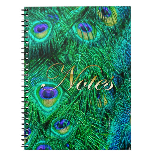 Radiant Peacock Feathers Photo Design Notebook (Front)