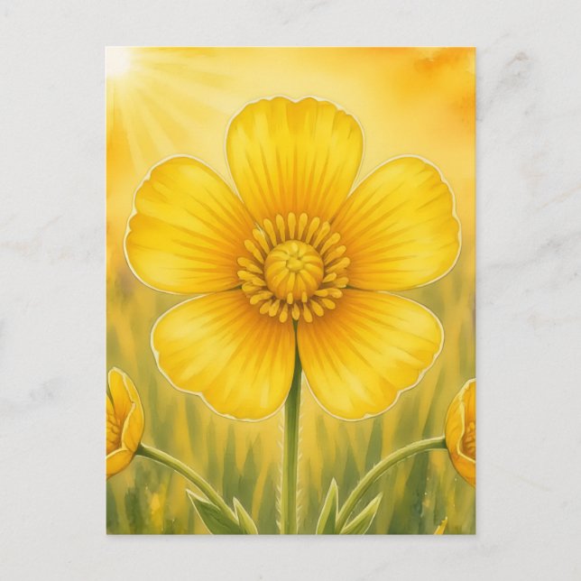Radiant Petal Series – Buttercup Postcard (Front)
