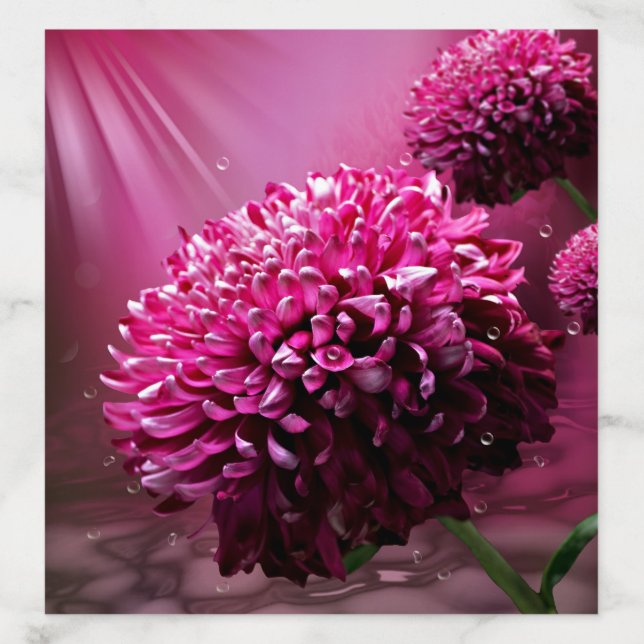 Radiant Pink Chrysanthemum Floral Envelope Liner (Design)