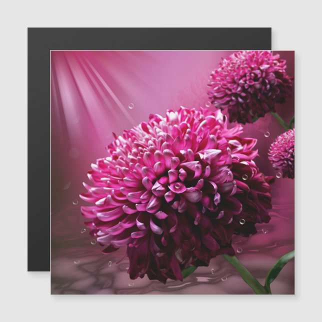 Radiant Pink Chrysanthemum Floral Magnetic Invitation (Front/Back)