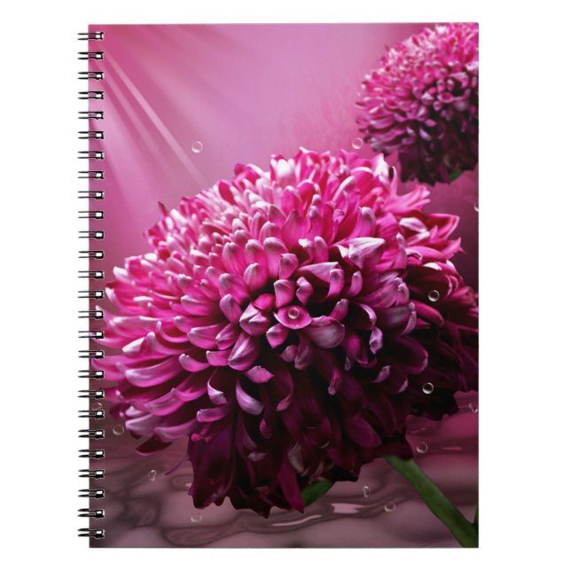 Radiant Pink Chrysanthemum Floral Notebook (Front)