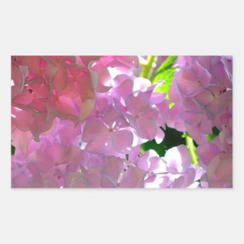 Radiant Pink Hydrangeas pink flowers pink flowers Rectangular Sticker