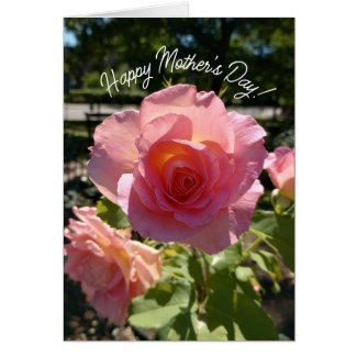 Radiant Pink Tea Rose Mother's Day Card