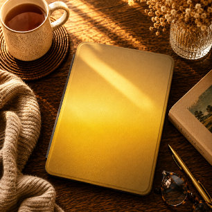 Radiant Silence Kindle Cover