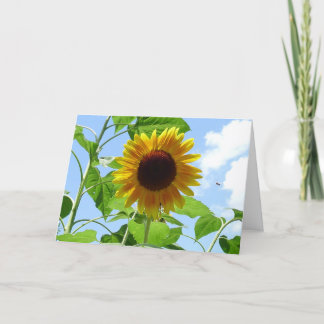 Radiant Sunflower, Provence, France - Card