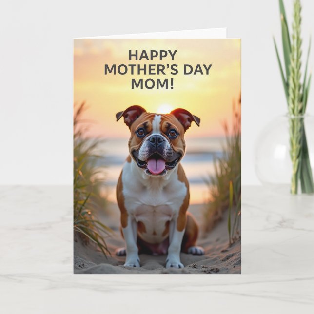 Radiant Sunset Dog Card (Front)