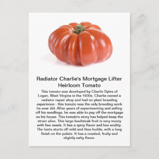 Radiator Charlie - Mortgage Lifter Heirloom Tomato Postcard