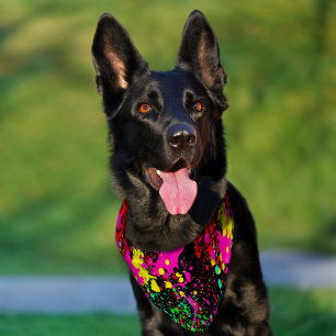 Radical Dog  Pet Bandana Collar