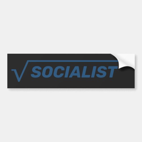 Radical Socialist Bumper Sticker
