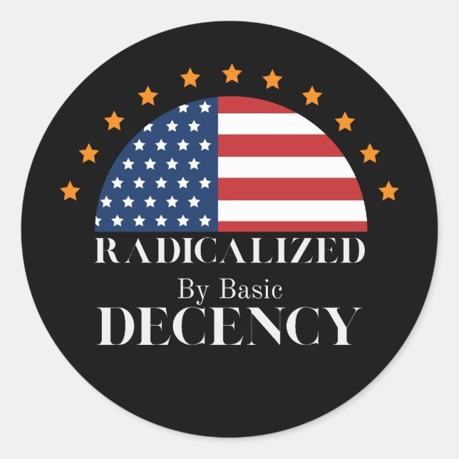 Radicalized by Basic Decency USA Flag Classic Round Sticker (Front)