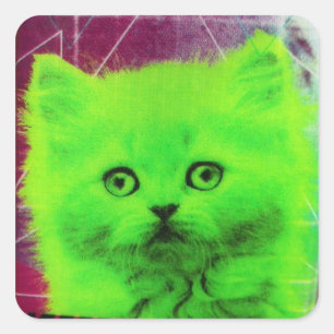 radioactive cat square sticker