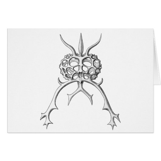 Radiolaria Cards (Front Horizontal)