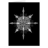 Radiolarians (Front)