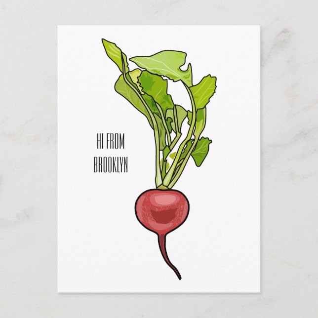 Radish cartoon illustration  postcard (Front)