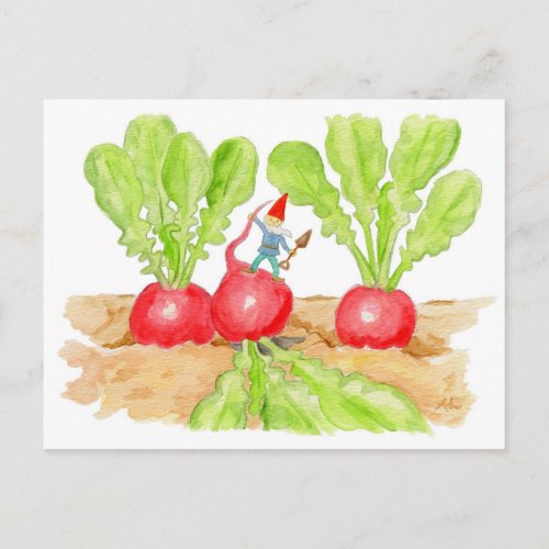 Radish Garden Gnome postcard