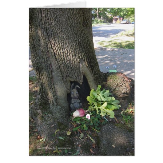 Radish Gifting (Front)