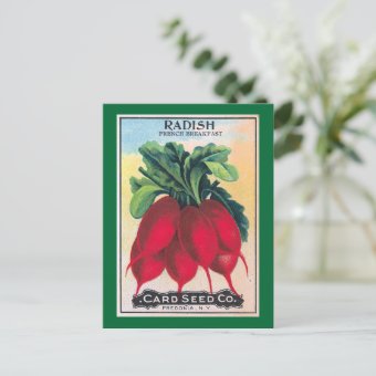 Radish Seed Packet Postcard | Zazzle