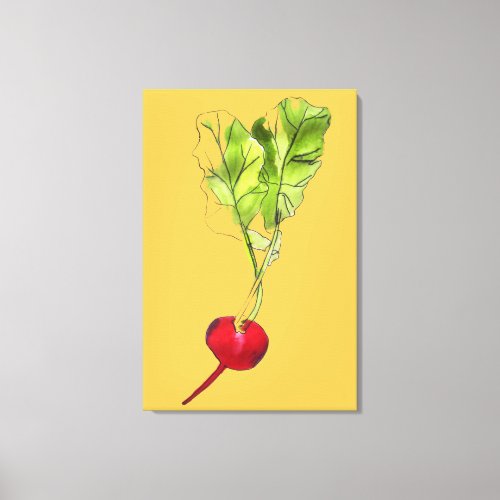 Radish vegetable  watercolour art illustration canvas print