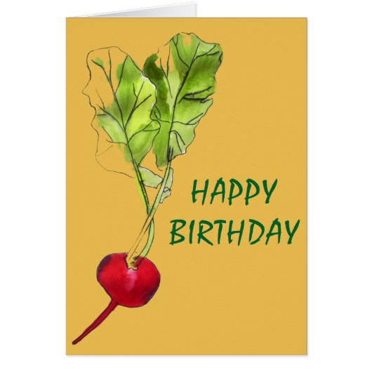 Radish vegetable watercolour illustration art (Front)