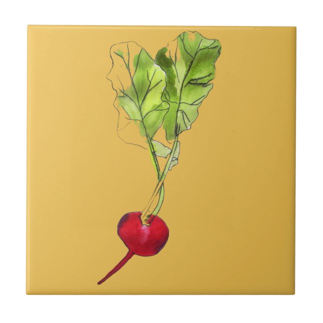 Radish vegetable watercolour illustration art ceramic tile (Front)
