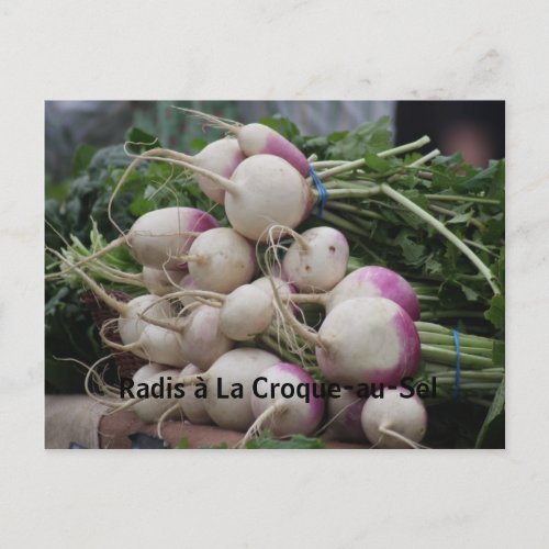 Radishes with Salt  Butter Postcard