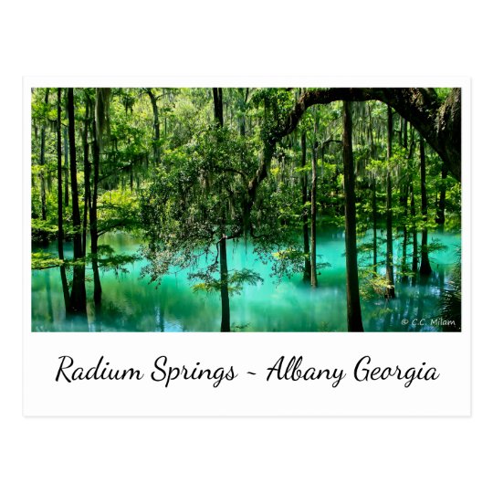 Radium Springs Albany Postcard
