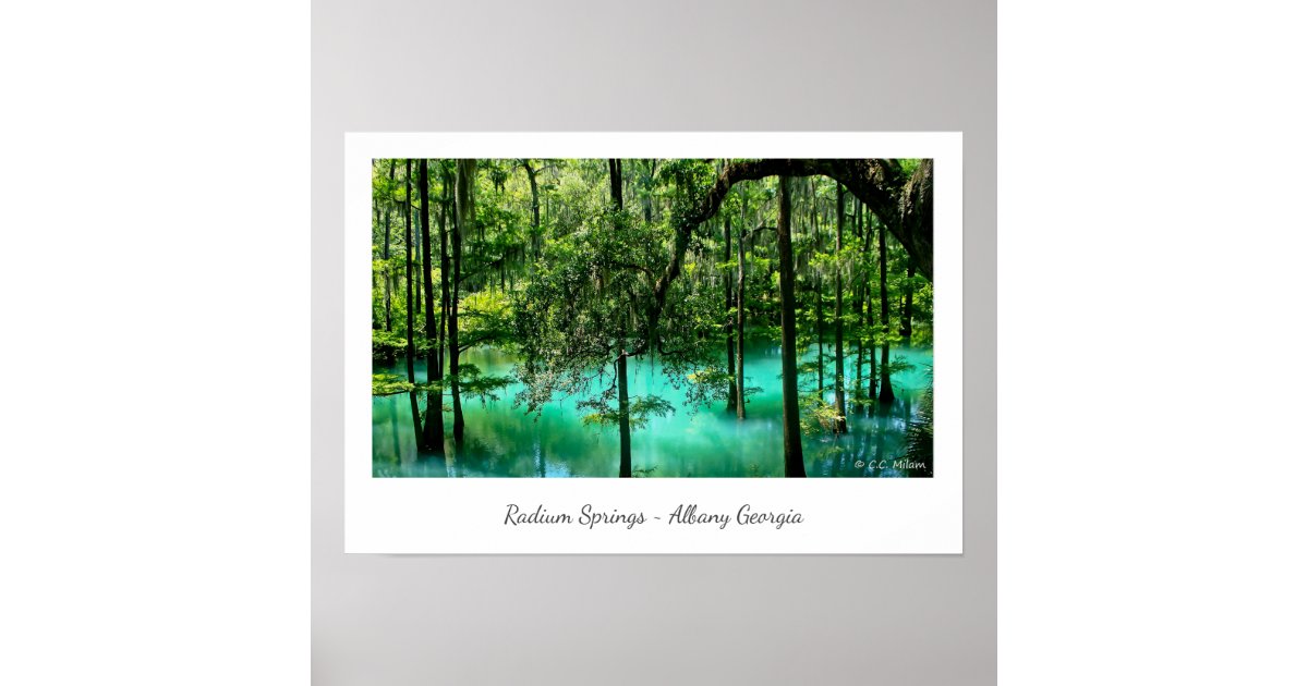 Radium Springs Albany Poster Zazzle