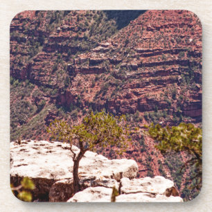 Rafinesque Watches Beverage Coaster