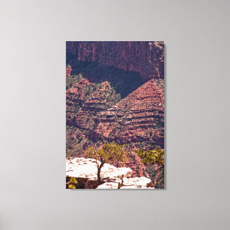 Rafinesque Watches Canvas Print