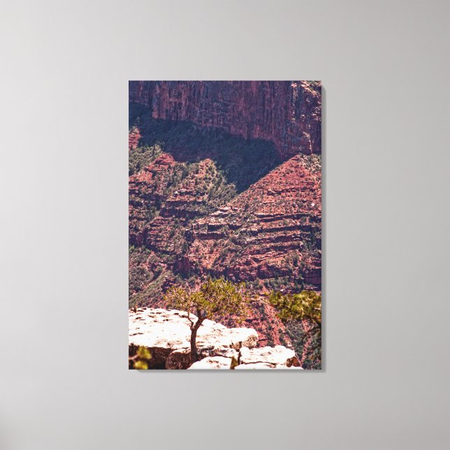 Rafinesque Watches Canvas Print (Front)