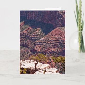 Rafinesque Watches Card