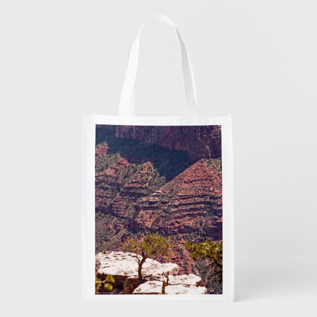 Rafinesque Watches Grocery Bag (Front)