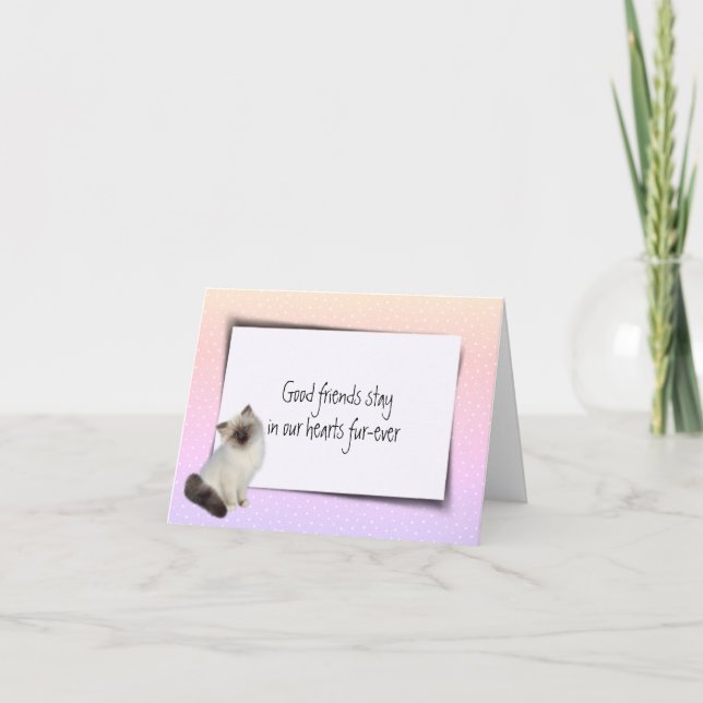 Rag Doll Pet Loss Sympathy Card (Front)