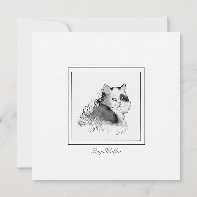 RagaMuffin Cat Charcoal Sketched  Note Card (Front)