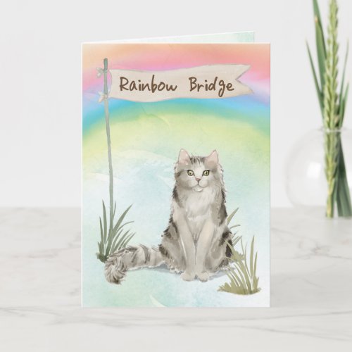 Ragamuffin Cat Pet Sympathy Over Rainbow Bridge Card