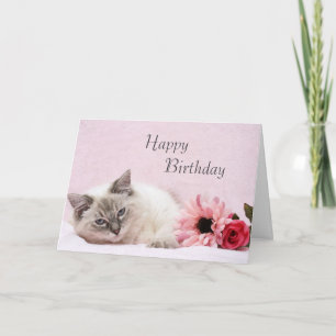Ragdoll Birthday Card