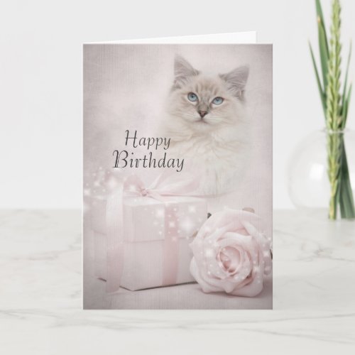 Ragdoll birthday card