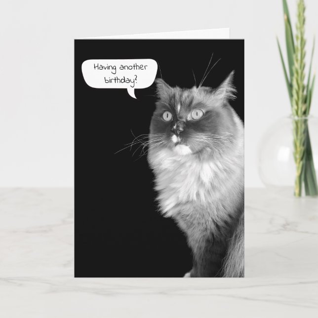 Ragdoll Birthday Humor Card (Front)