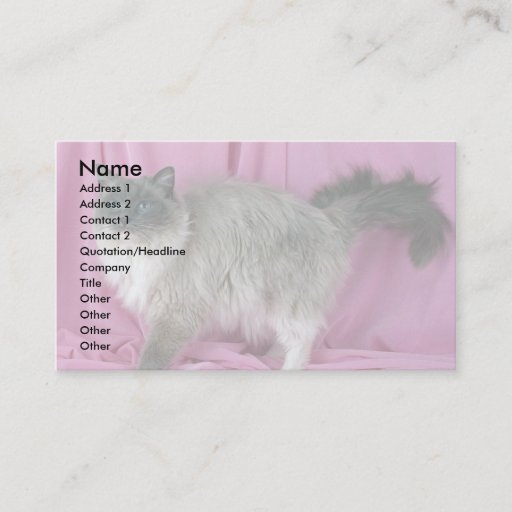 Customizable Ragdoll, blue mitted business card template